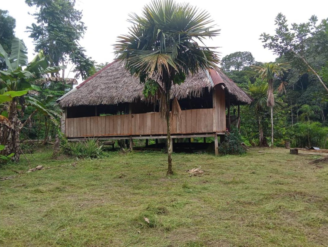 Cabaña de madera con techo de paja de Kewengi Tours