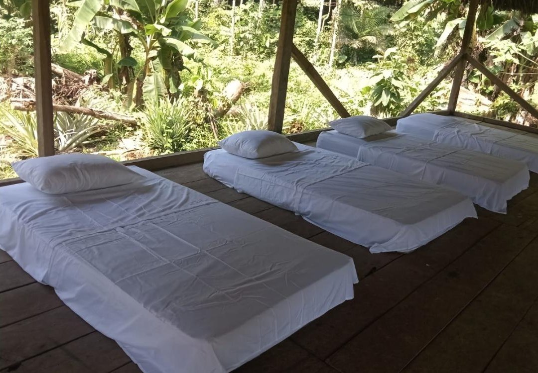Dormitorio abierto con colchones