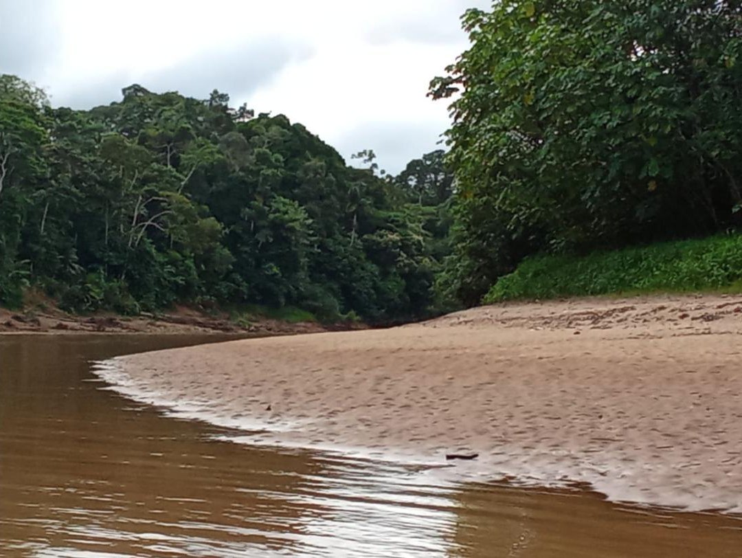 Playa de arena en un río del Yasuní